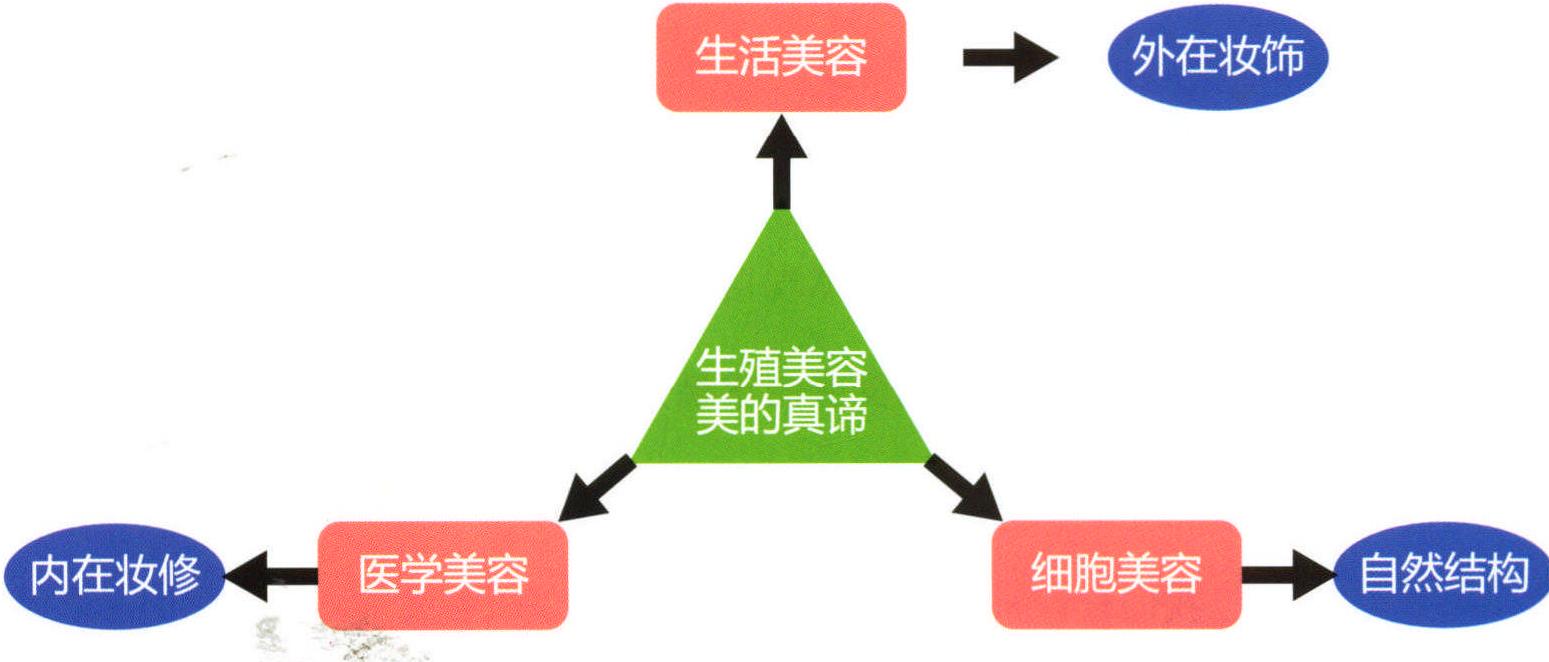 7.5.3 美的內(nèi)在與外在關(guān)系